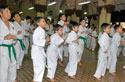 Karate in Schools