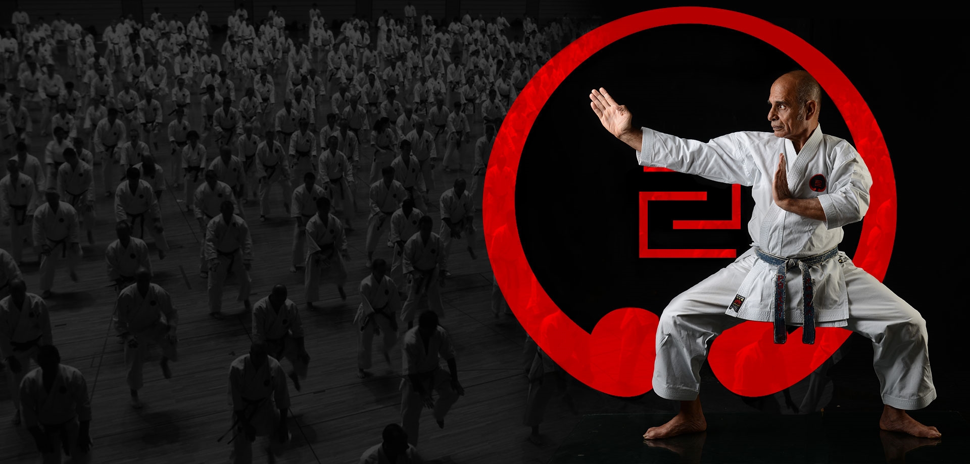 Academy of Martial Arts, India